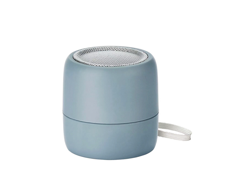 Bluetooth speaker case